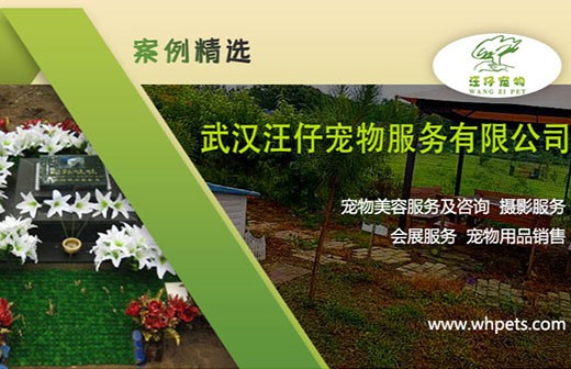 宠物美容服务案例